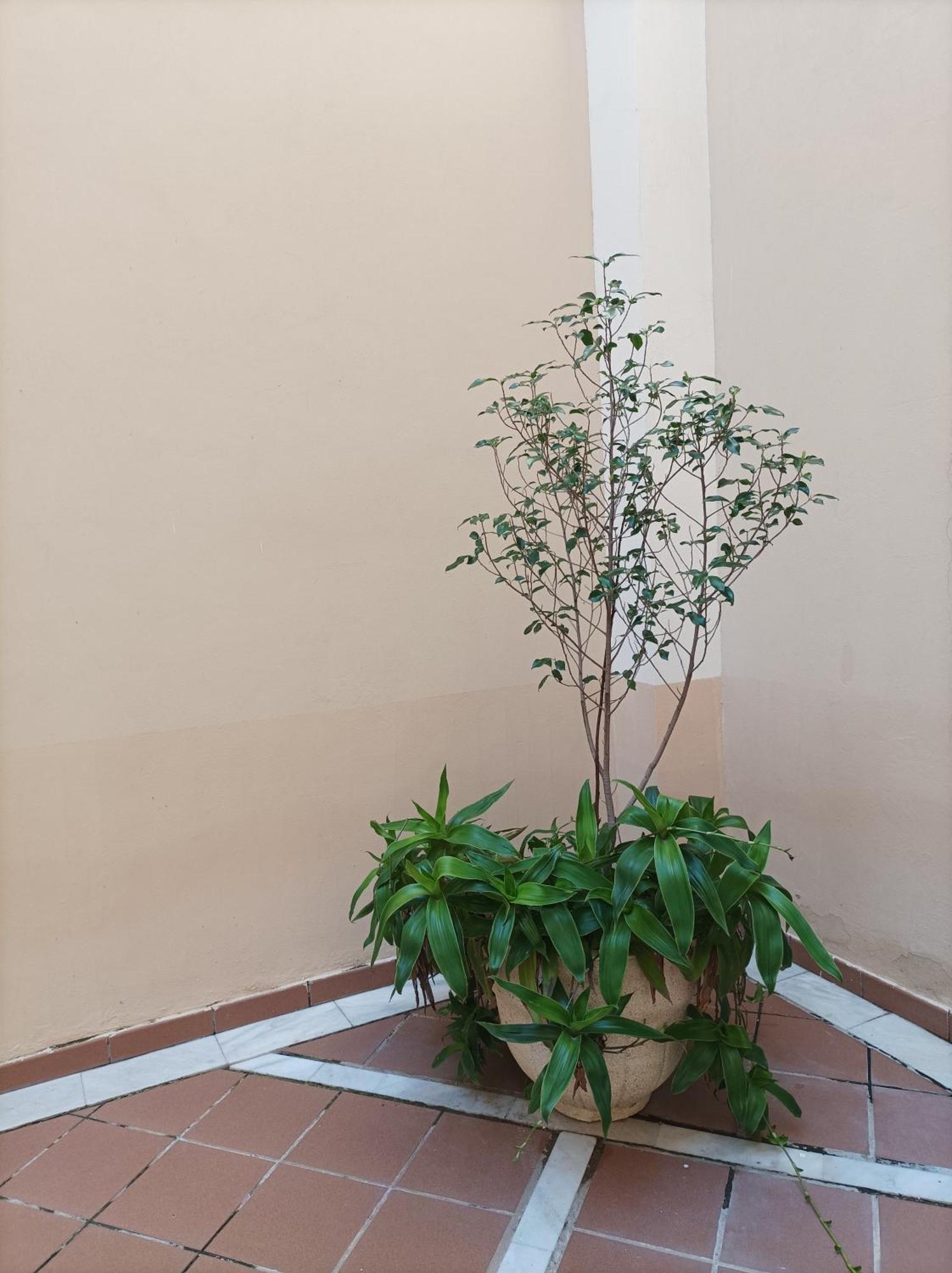 Apartamento De Lux Sevilla Este Extérieur photo